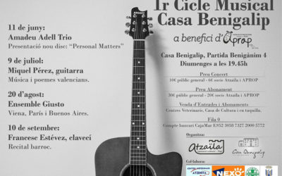 Concert del guitarrista Miquel Pérez. Cicle Musical Casa Benigalip -Pego-
